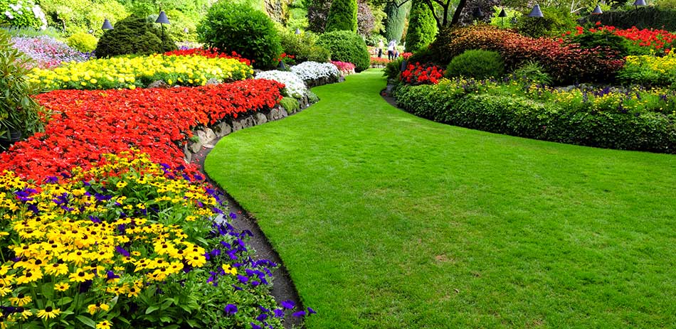 giardiniere padova venezia